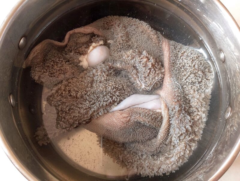 Soaking raw tripe in water mixed with salt and lemon juice